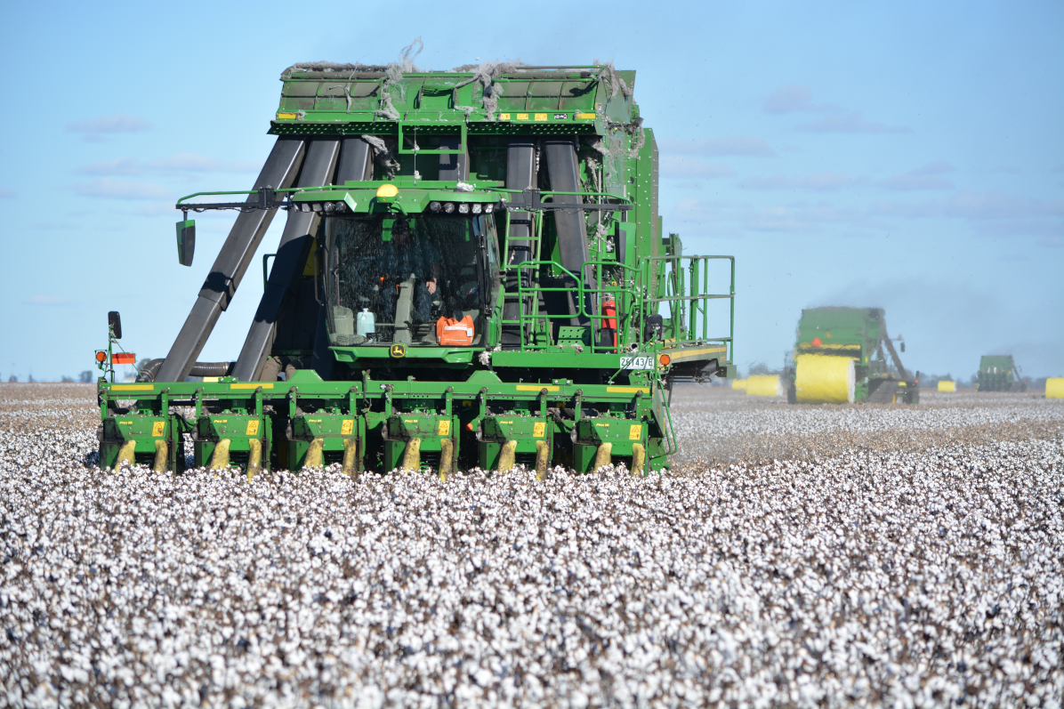 Agricultural Tours Riverina Visit Darlington Point