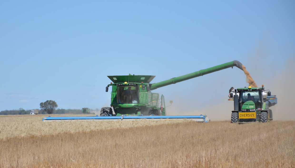 DSC_9914 wheat Harvest scaled