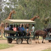 Altina Wildlife Park 