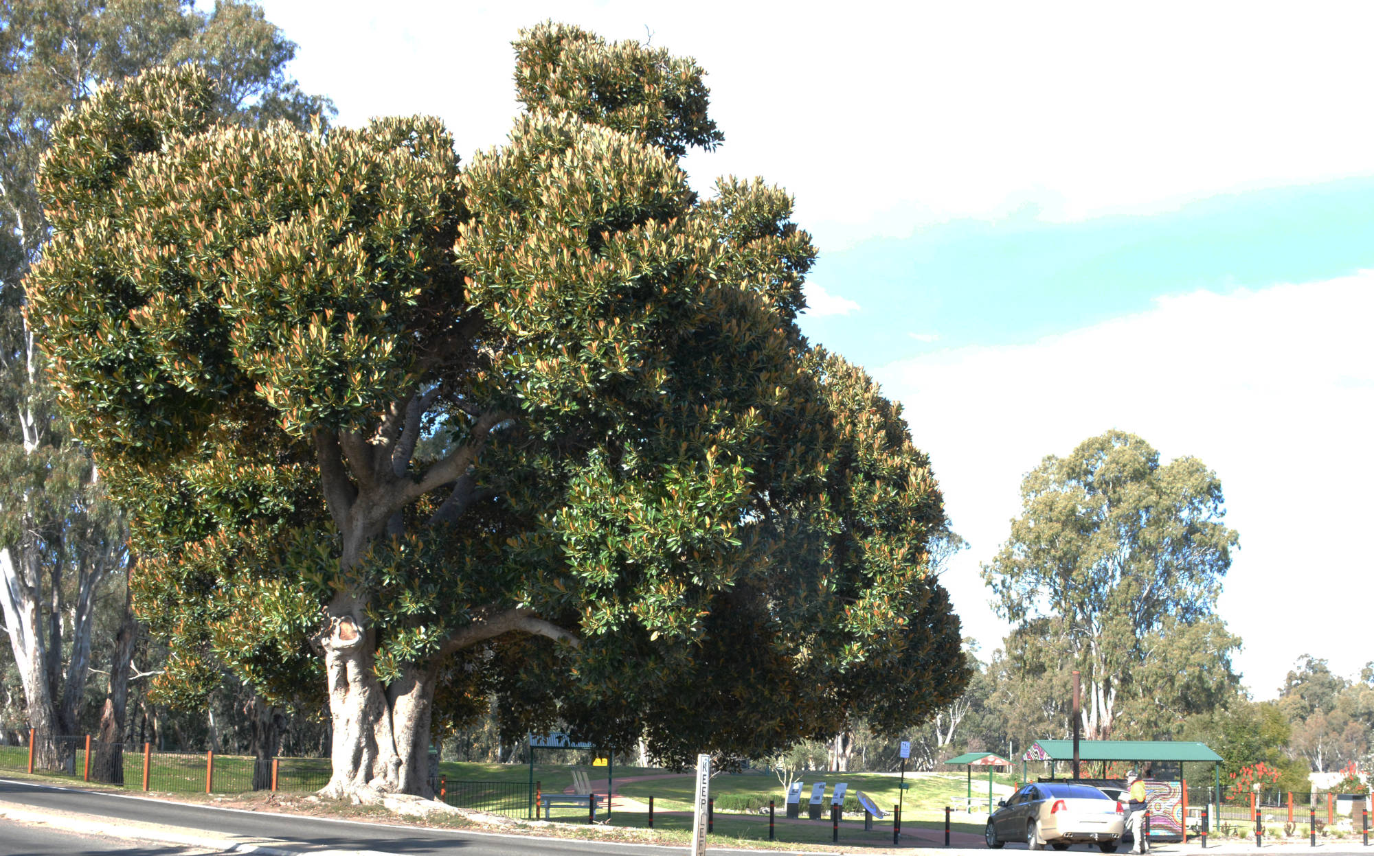 About Darlington Point Visit Darlington Point