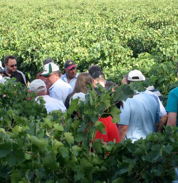 Agricultural Tours Riverina 