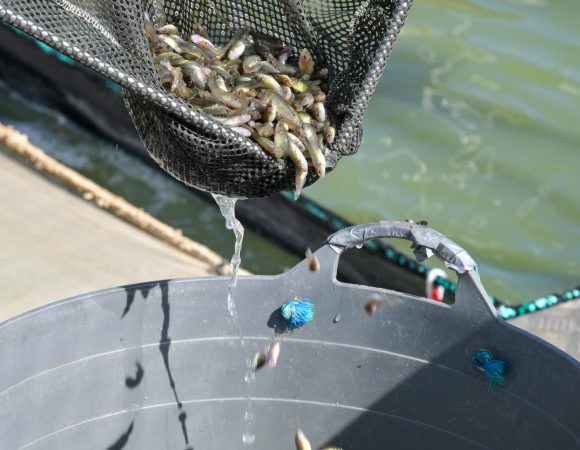 641686844_18331100371175580_7482689427070424216_n