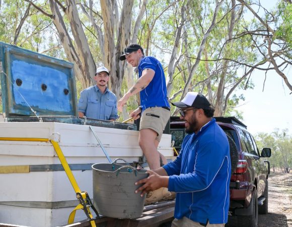 642093766_18331100416175580_2177208725161245640_n