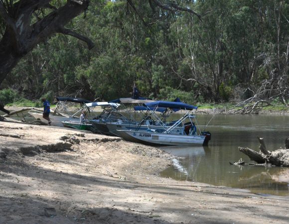 DSC_5491edited v2scaled