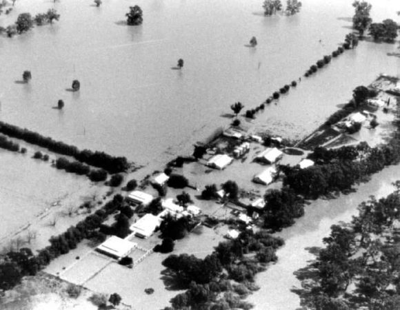 FB_IMG_1637711672736